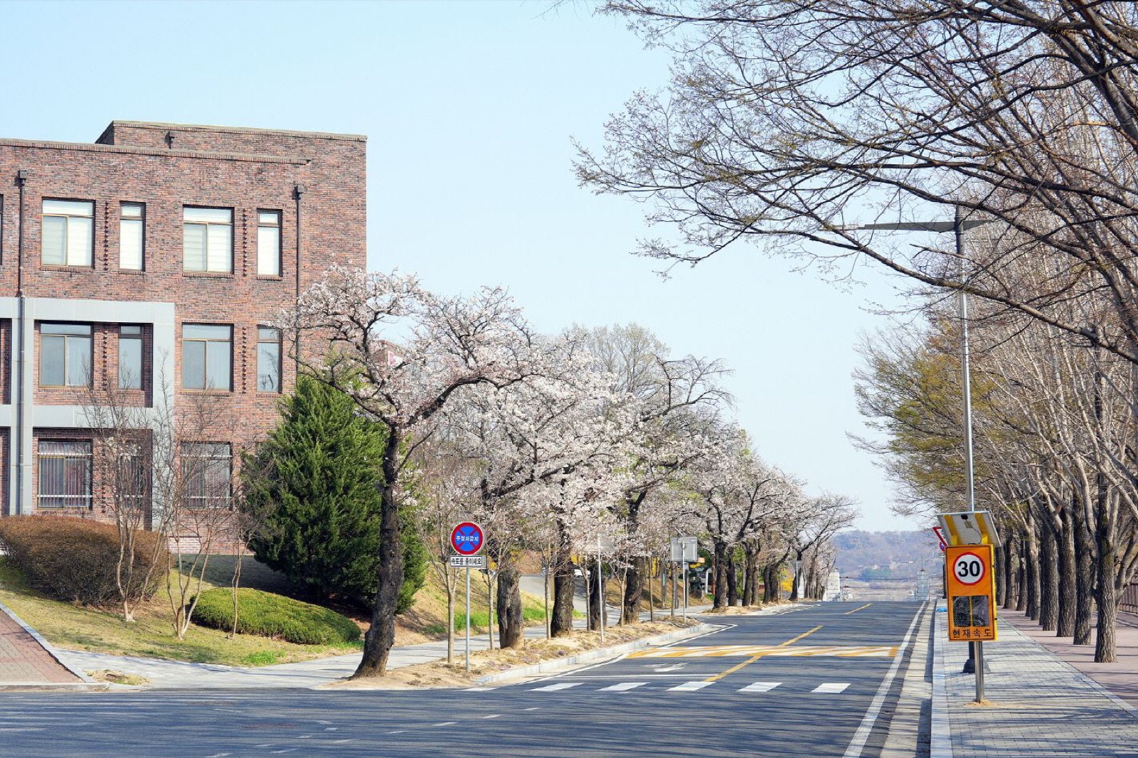 Gyeongkuk National University campus