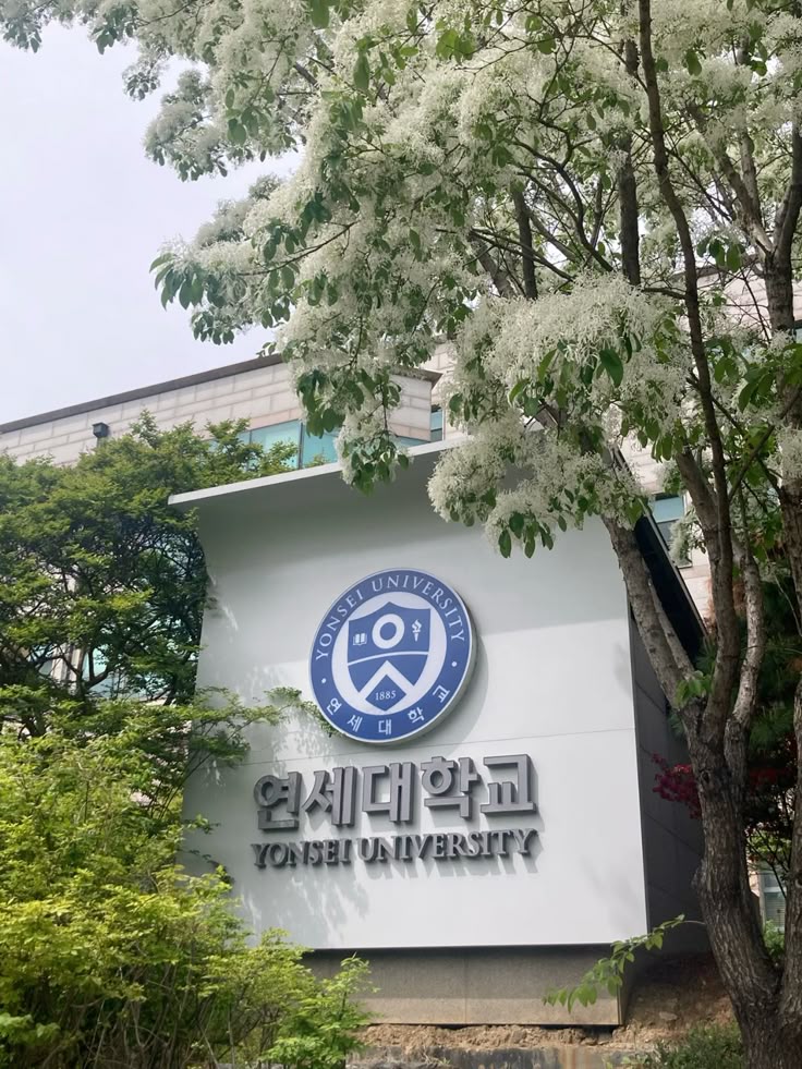 Yonsei Companion Scholarship